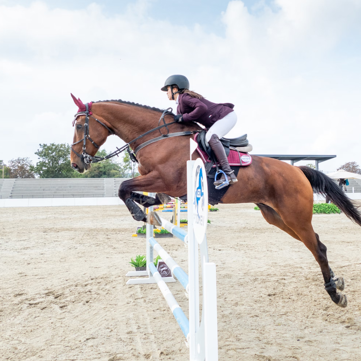 A woman on a brown horse competes in a jumping show.